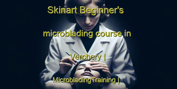 Skinart Beginner's microblading course in Verchery | MicrobladingTraining | MicrobladingClasses | SkinartTraining-France